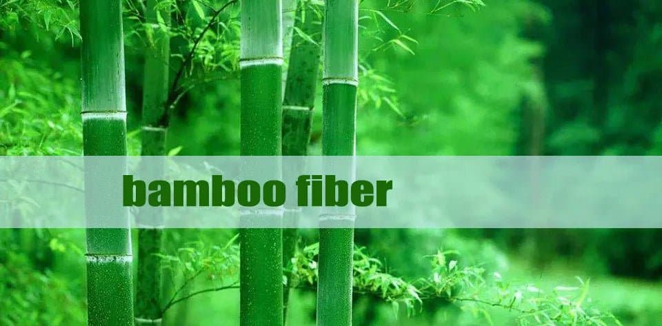 Bamboo Fiber Casual Socks 10 Pair - Wandering Woman