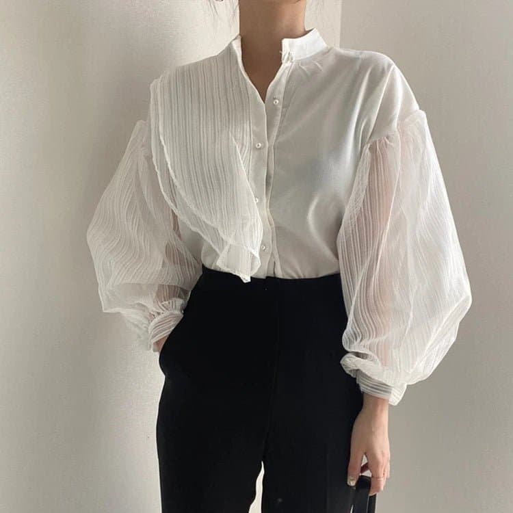Chic Transparent Blouse - Wandering Woman
