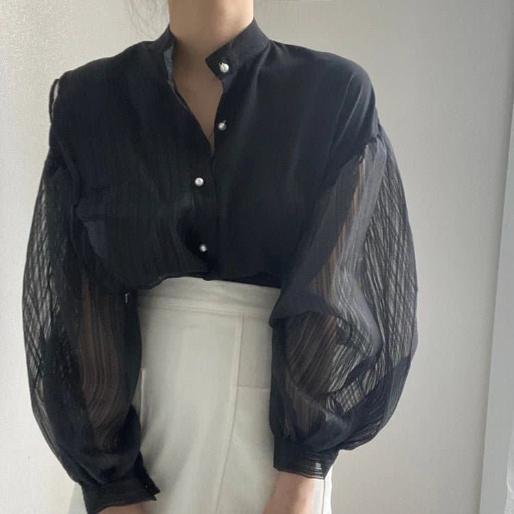 Chic Transparent Blouse - Wandering Woman