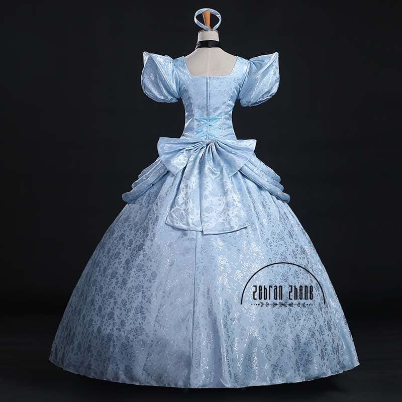 Luxury Cinderella Costume - Wandering Woman