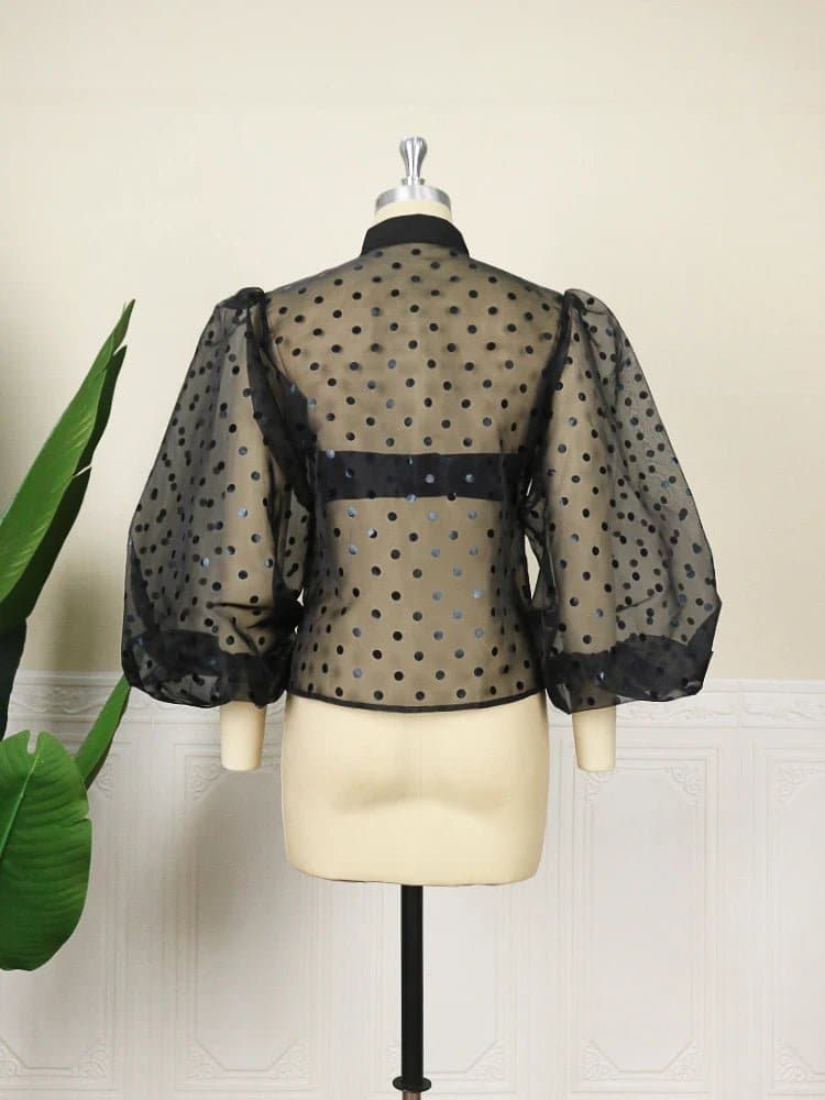 Puff Sleeve See Through Blouse - Wandering Woman