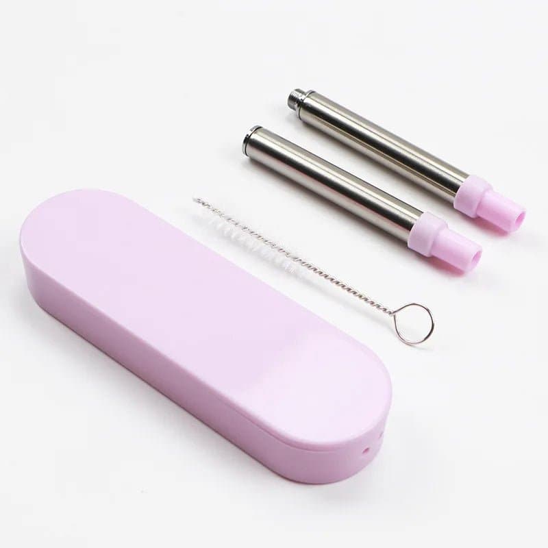 Stainless Steel Folding Straw with Cleaning Brush Case Set - Wandering Woman