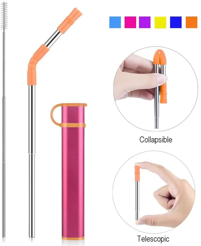 Stainless Steel Straw with Case, Tip & Cleaning Brush for Travel - Wandering Woman