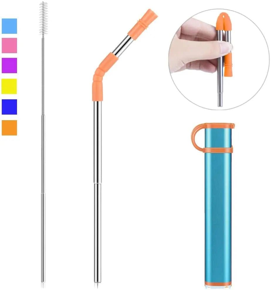 Stainless Steel Straw with Case, Tip & Cleaning Brush for Travel - Wandering Woman