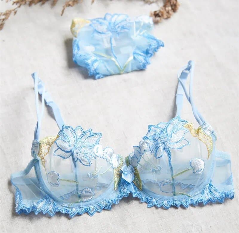 Transparent Embroidered Bra & Panty Lingerie - Wandering Woman