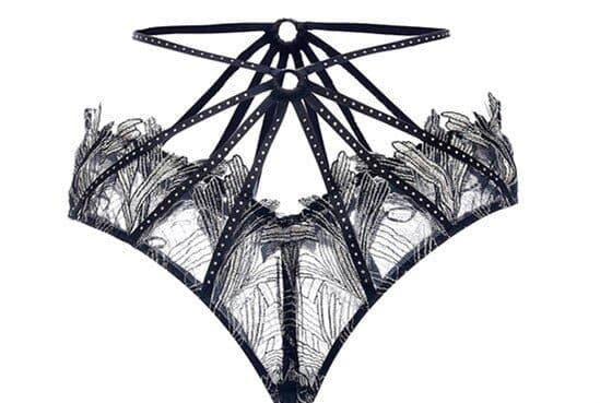 Transparent Embroidery Luxury Lingerie Set - Wandering Woman